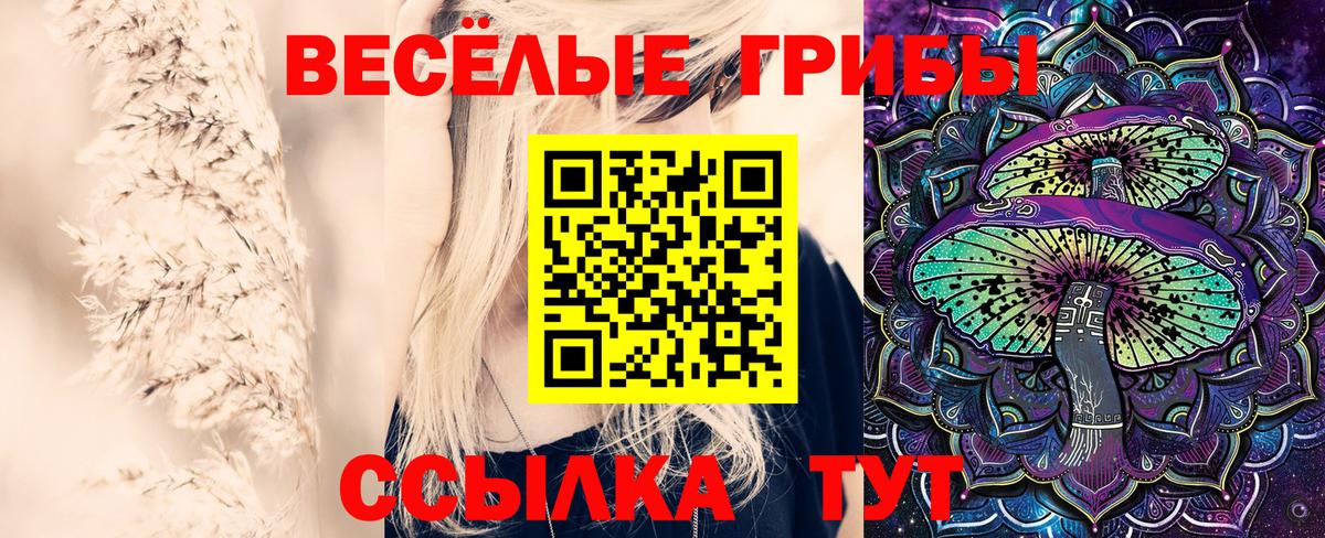 Галлюциногенные грибы ЛСД  Вход с VPN  Тейково 